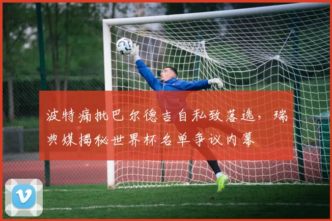 波特痛批巴尔德吉自私致落选，瑞典媒揭秘世界杯名单争议内幕